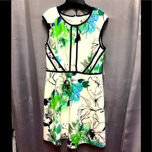 Sandra Darren dress NWT